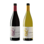 Creación y diseño branding vino