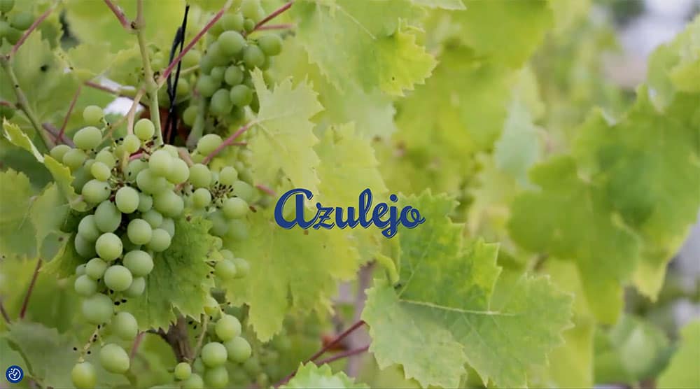 creación y desarrollo web azulejo wines by batlle design